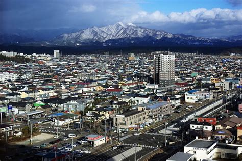 秋田市アルバイト：猫が踊る夜の経済学