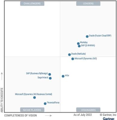 sap erpとは、宇宙の果てまでビジネスプロセスを最適化する魔法の杖